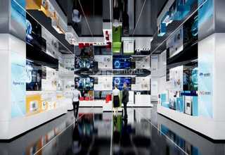 四川代理领头牛产品